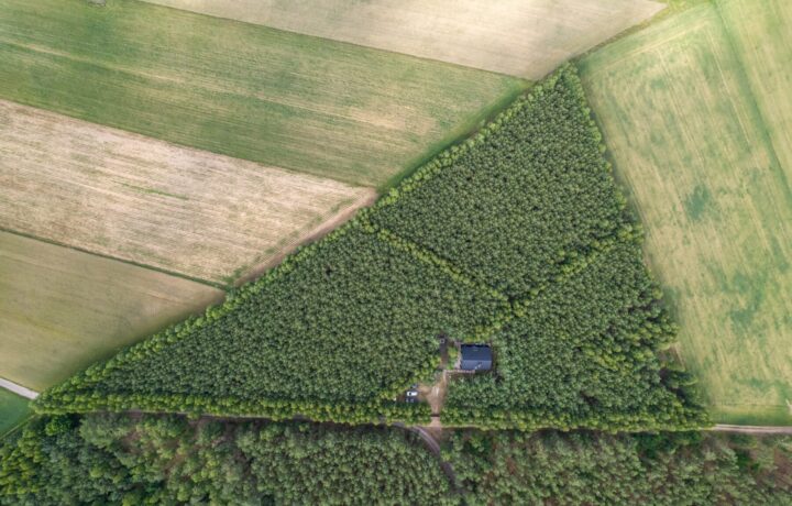 Dom na sprzedaż - Maków Mazowiecki, Vilea Property Butique 2