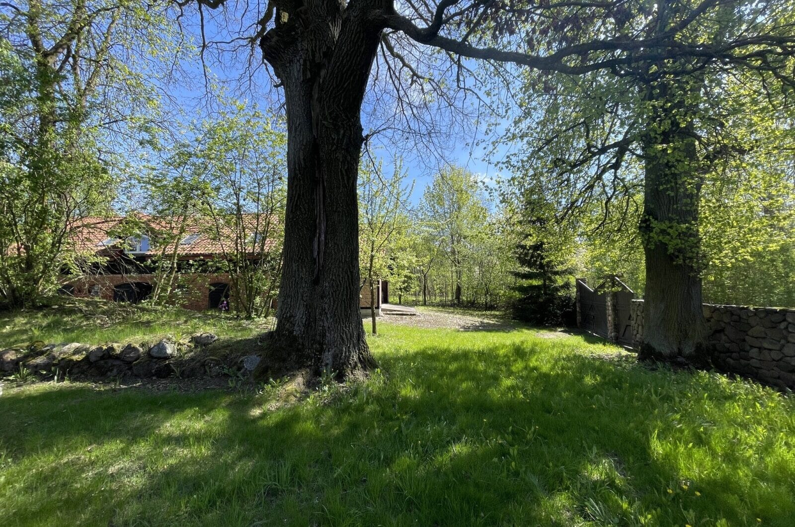 Dom na sprzedaż - Rozogi, Sorkwity, Vilea Property Butique 12