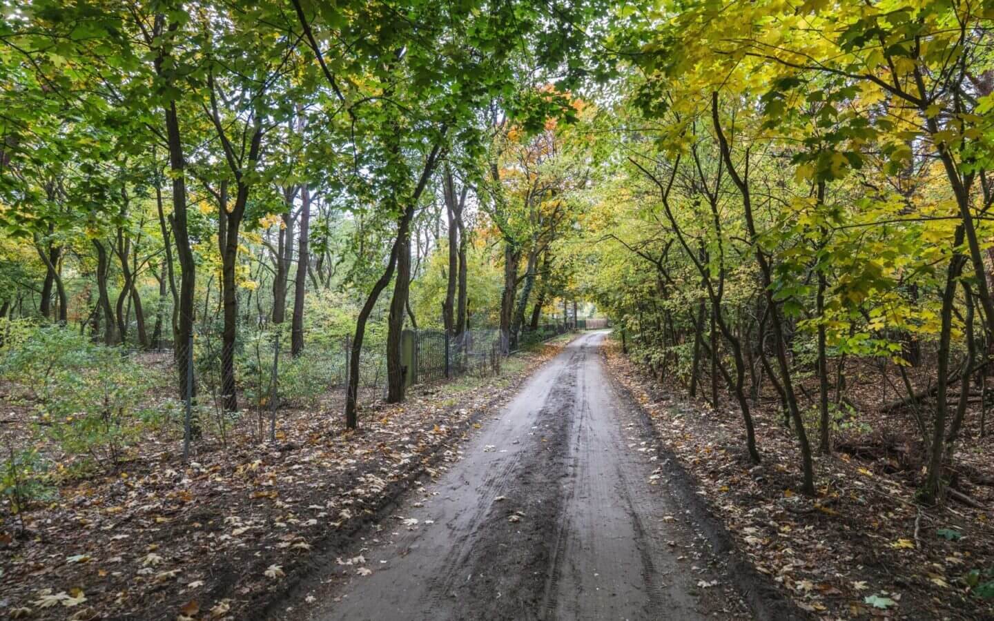 Działka na sprzedaż - Warszawa, Wawer, Vilea Property Butique 1