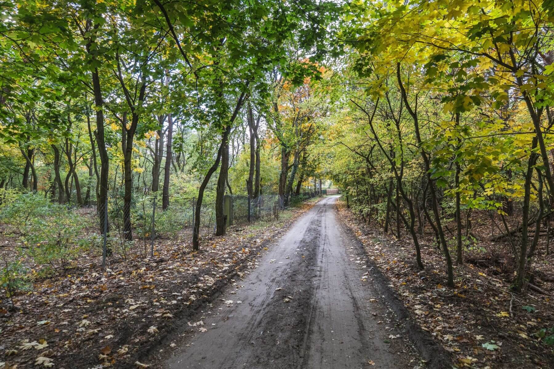 Działka na sprzedaż - Warszawa, Wawer, Vilea Property Butique 1