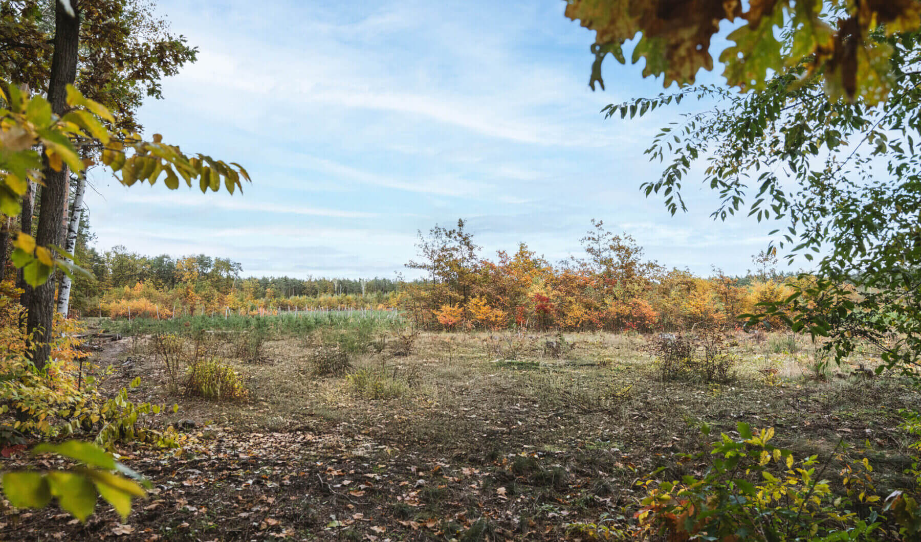 Działka na sprzedaż - Warszawa, Wawer, Vilea Property Butique 2