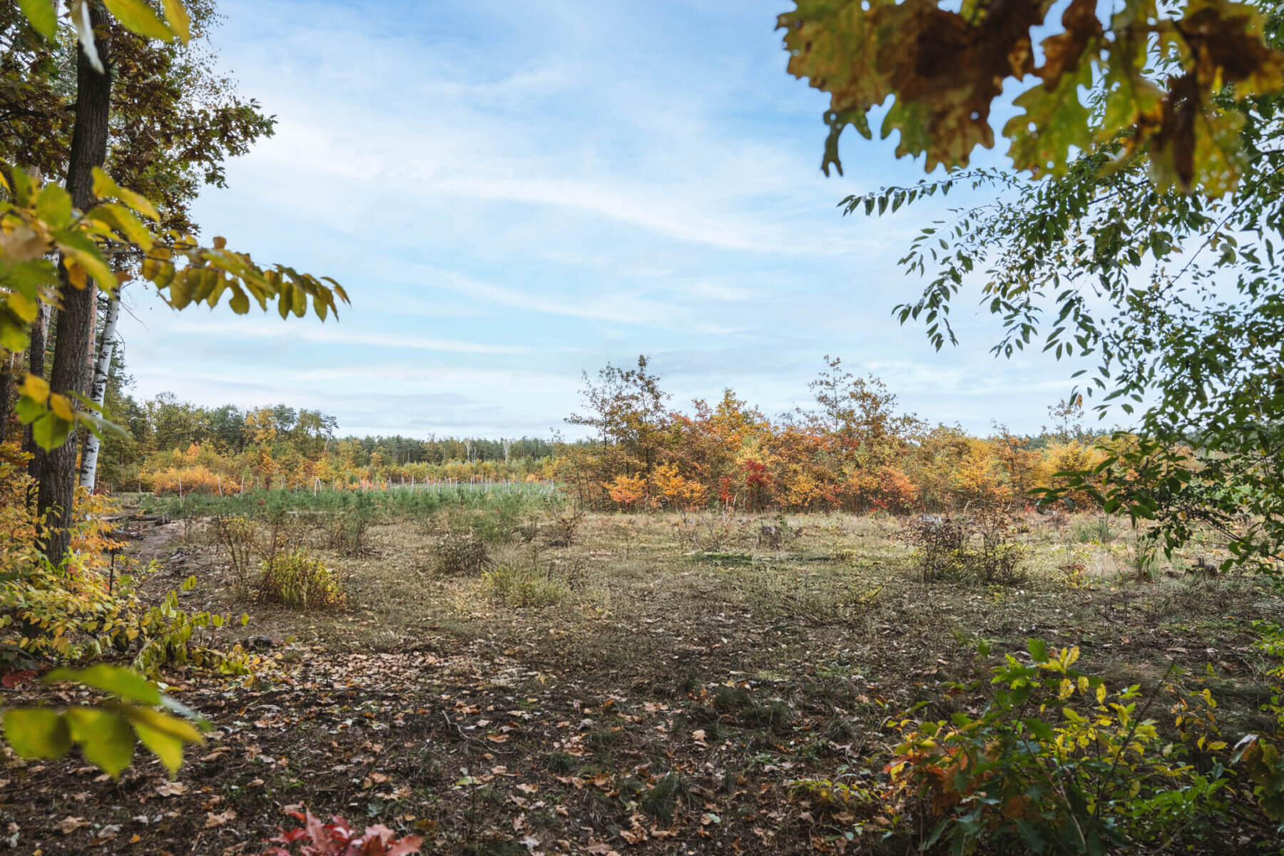 Działka na sprzedaż - Warszawa, Wawer, Vilea Property Butique 2