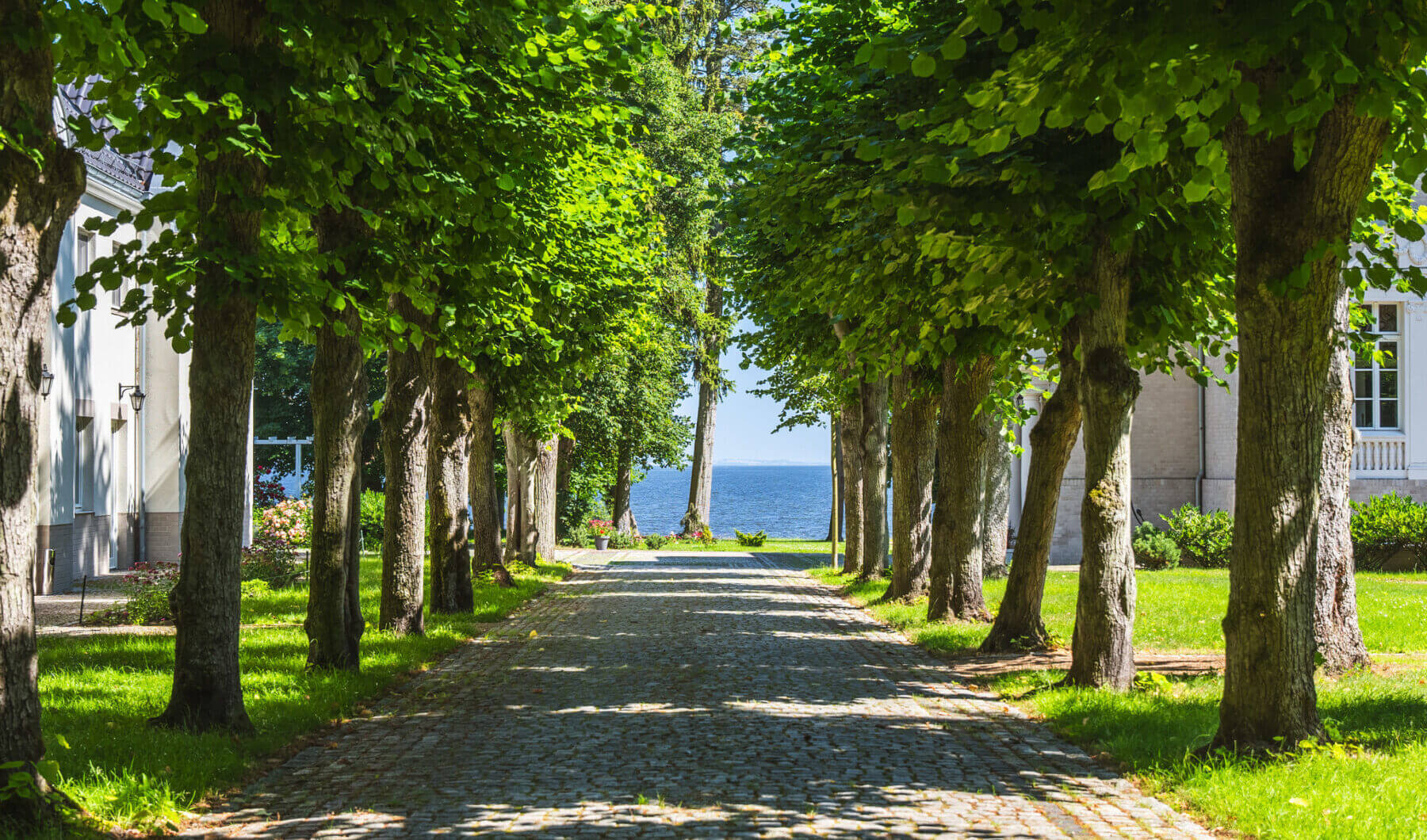 Dom na sprzedaż - Szczecin, Vilea Property Butique 4