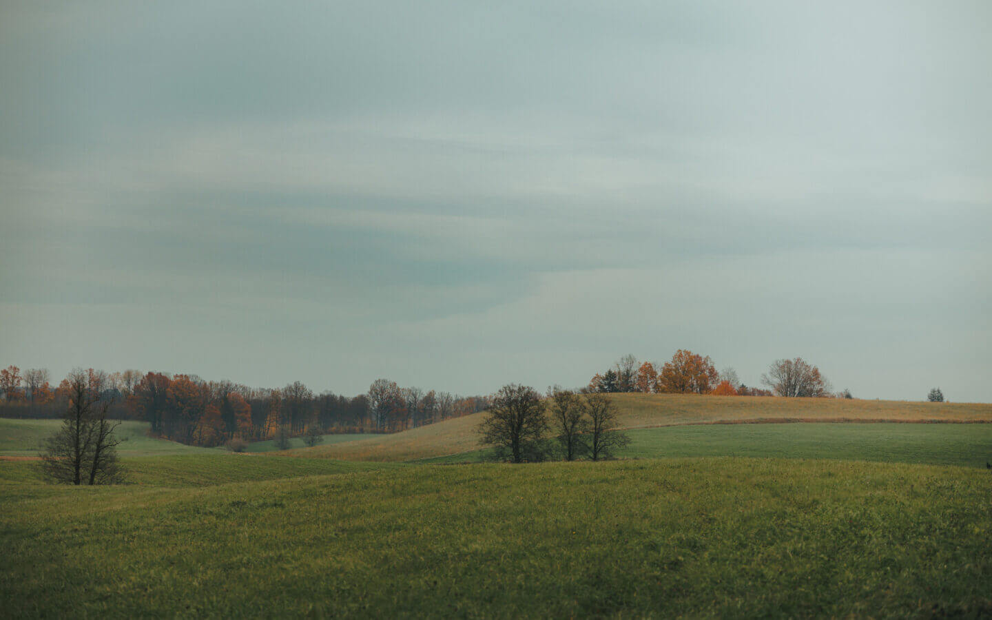 Działka na sprzedaż - Zyndaki, Sorkwity, Vilea Property Butique 1