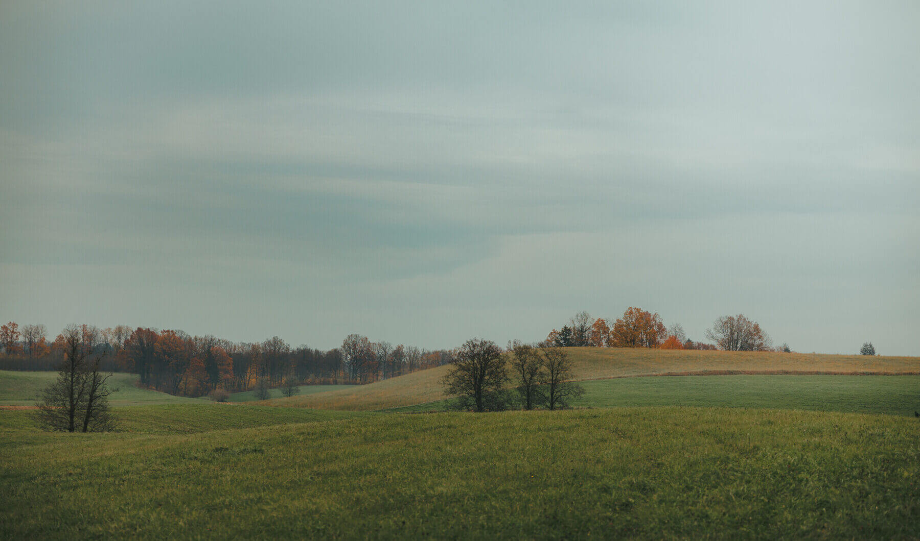 Działka na sprzedaż - Zyndaki, Sorkwity, Vilea Property Butique 1