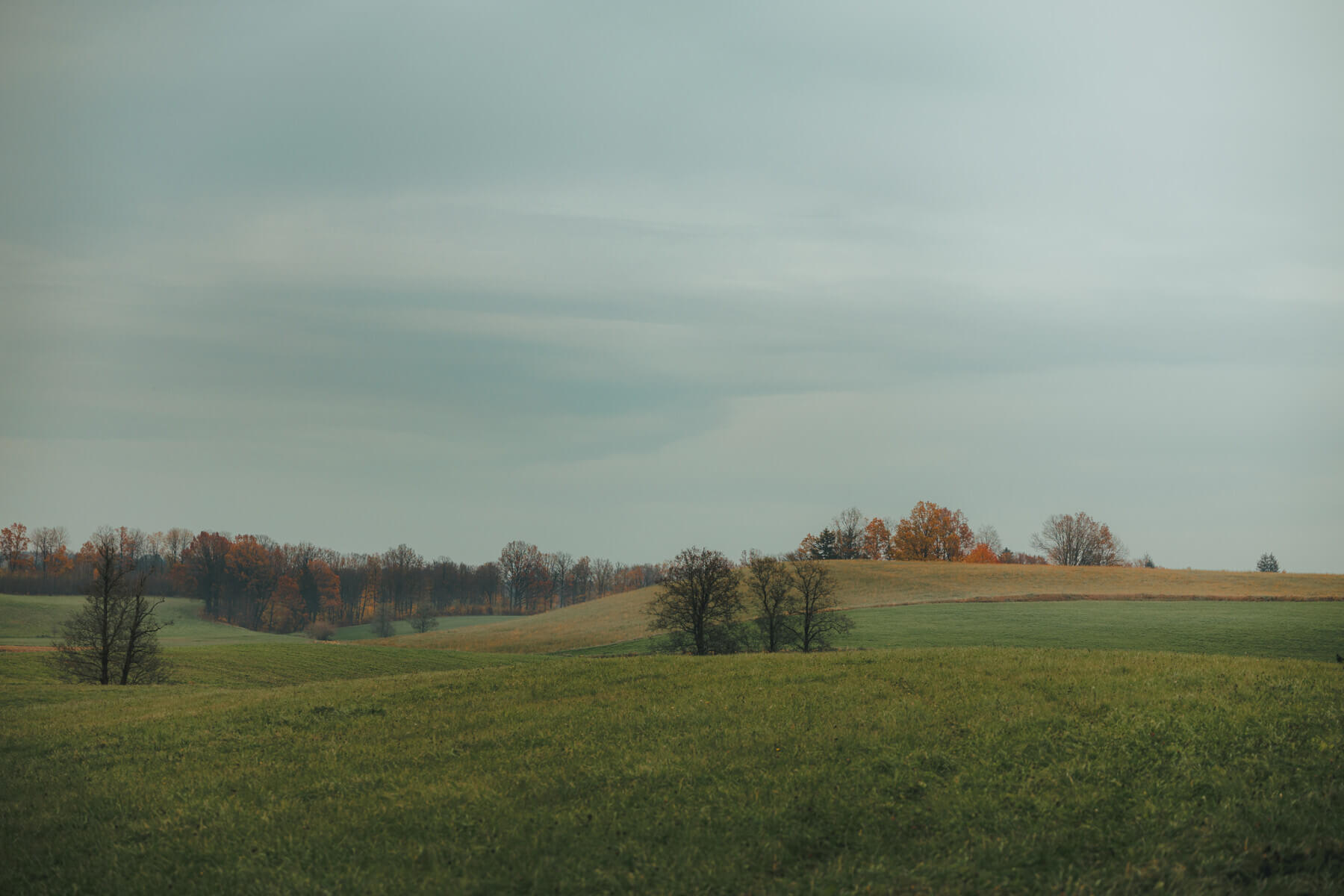 Działka na sprzedaż - Zyndaki, Sorkwity, Vilea Property Butique 1