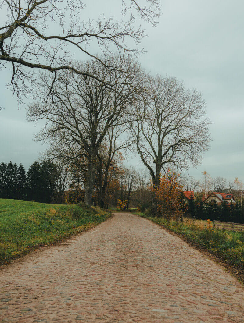 Działka na sprzedaż - Zyndaki, Sorkwity, Vilea Property Butique 13