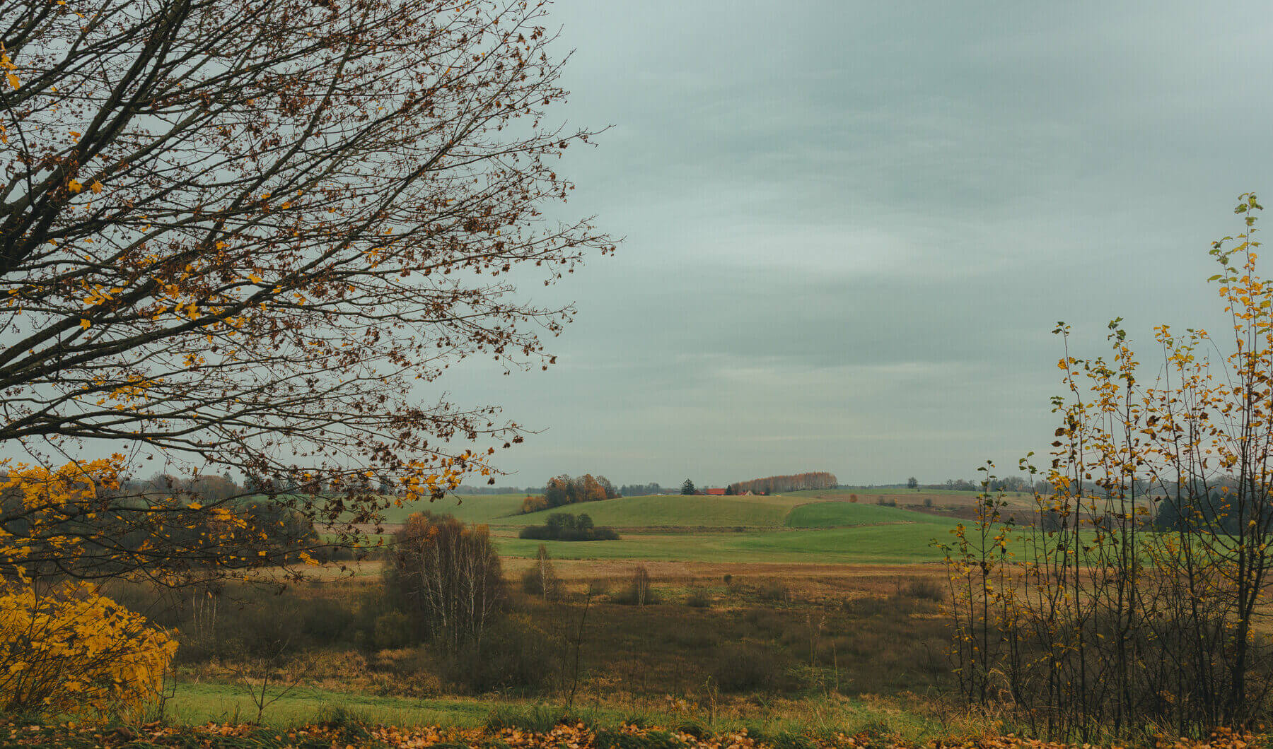 Działka na sprzedaż - Zyndaki, Sorkwity, Vilea Property Butique 21