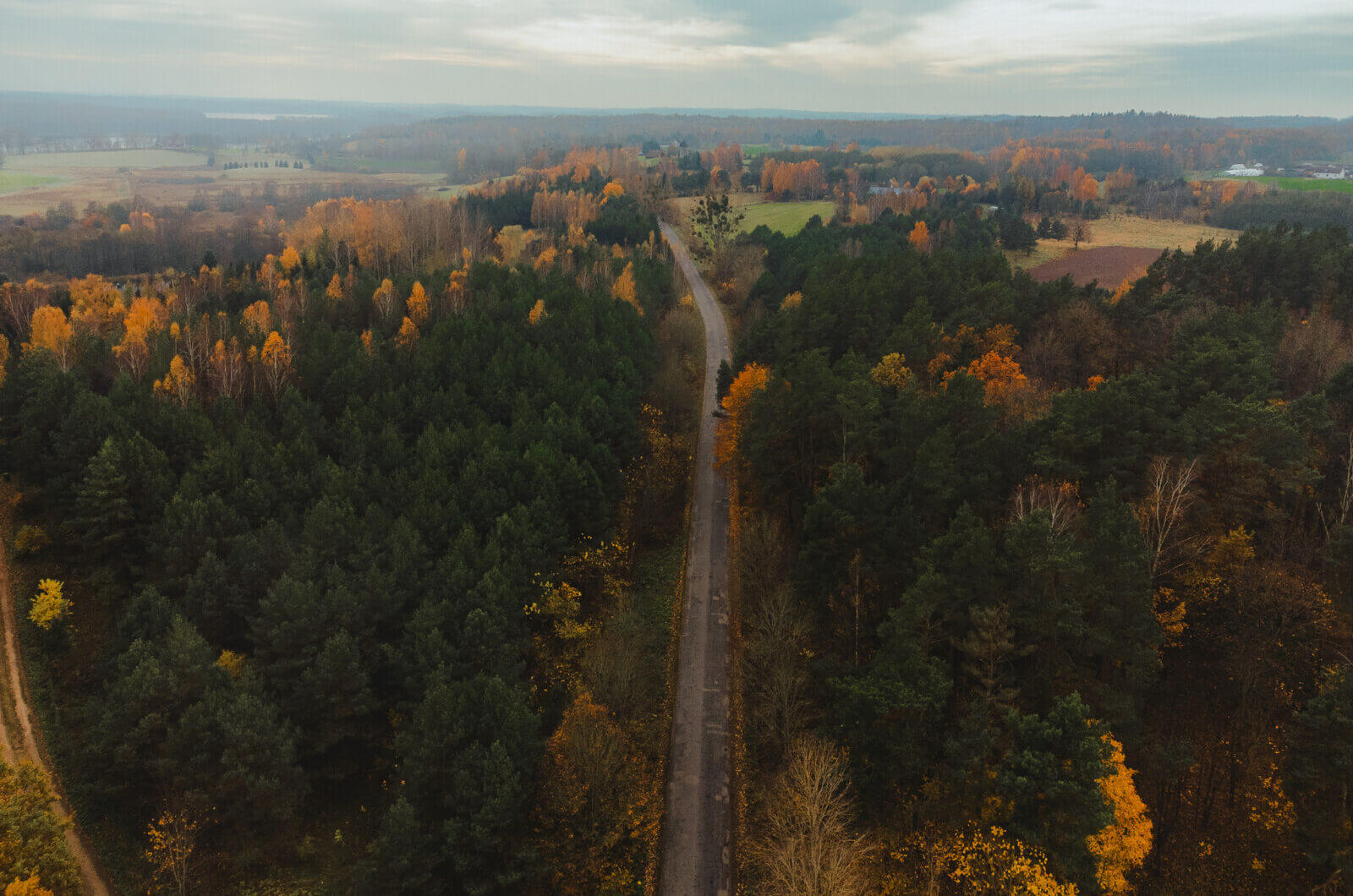 Działka na sprzedaż - Zyndaki, Sorkwity, Vilea Property Butique 9