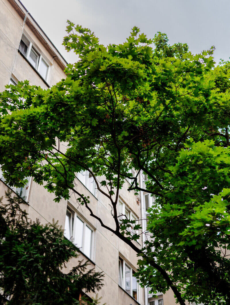 Mieszkanie na sprzedaż - Warszawa, Śródmieście, Vilea Property Butique 15