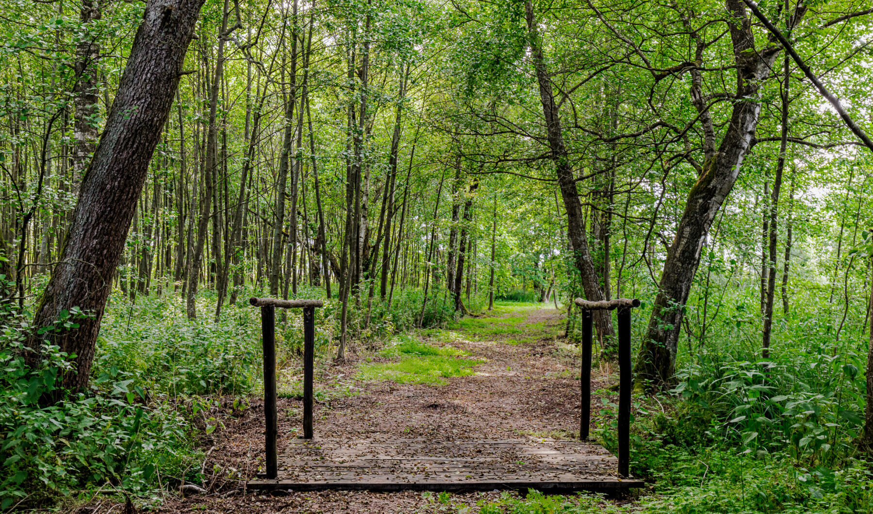 Dom na sprzedaż - Giżycko, Vilea Property Butique 28