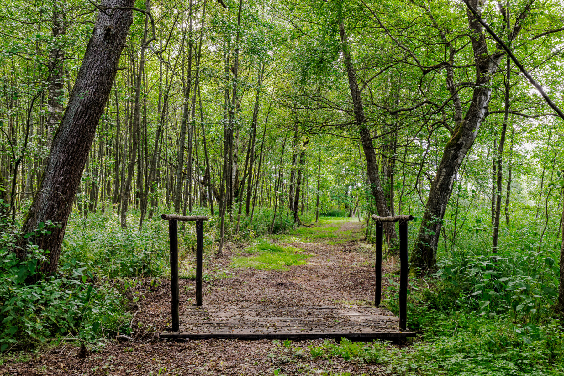 Dom na sprzedaż - Giżycko, Vilea Property Butique 28