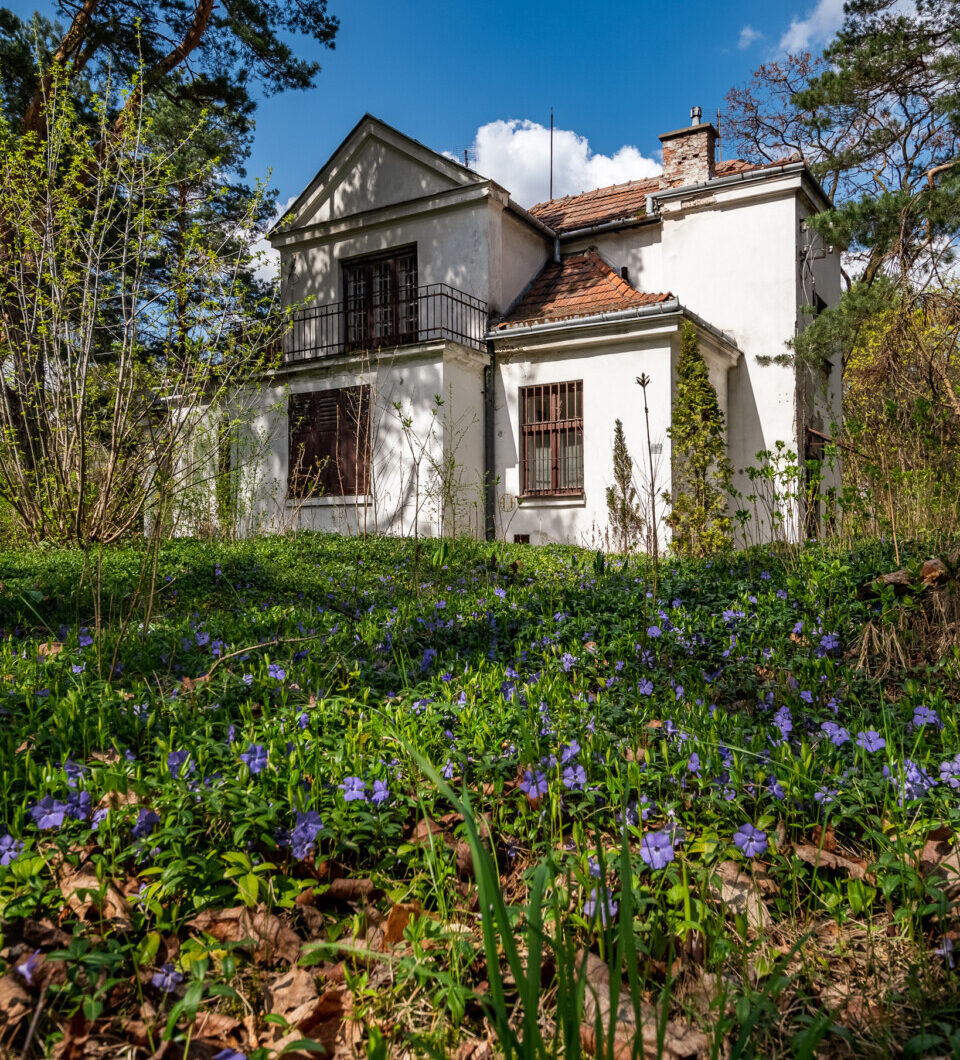 Dom na sprzedaż - Konstancin-Jeziorna, Vilea Property Butique 5