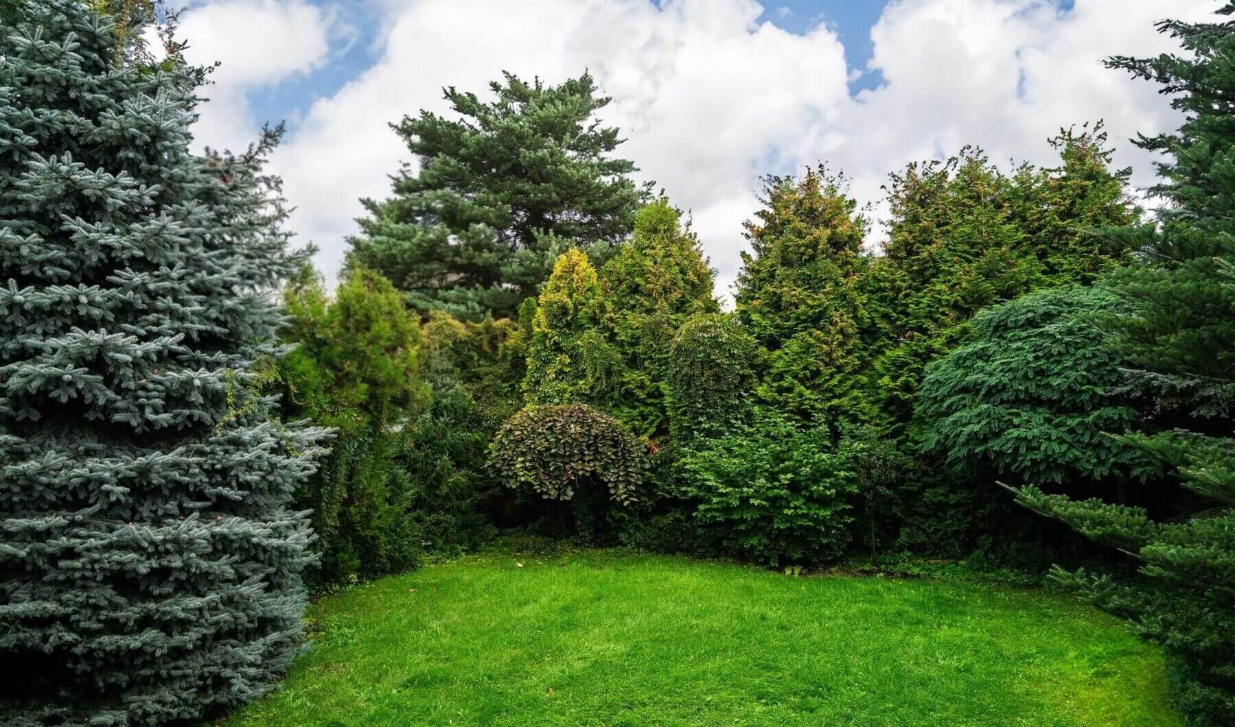 Dom na sprzedaż - Warszawa, Wilanów, Vilea Property Butique 10