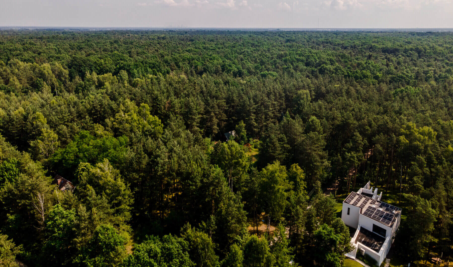 Dom na sprzedaż - Żelechów, Żabia Wola, Vilea Property Butique 19