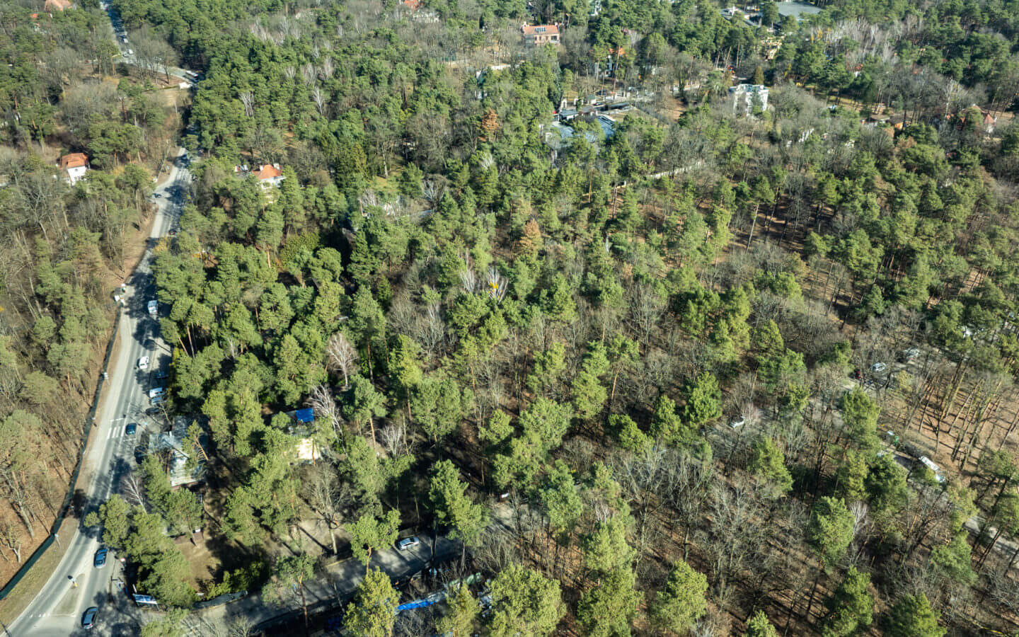 Działka na sprzedaż - Konstancin-Jeziorna, Vilea Property Butique 1