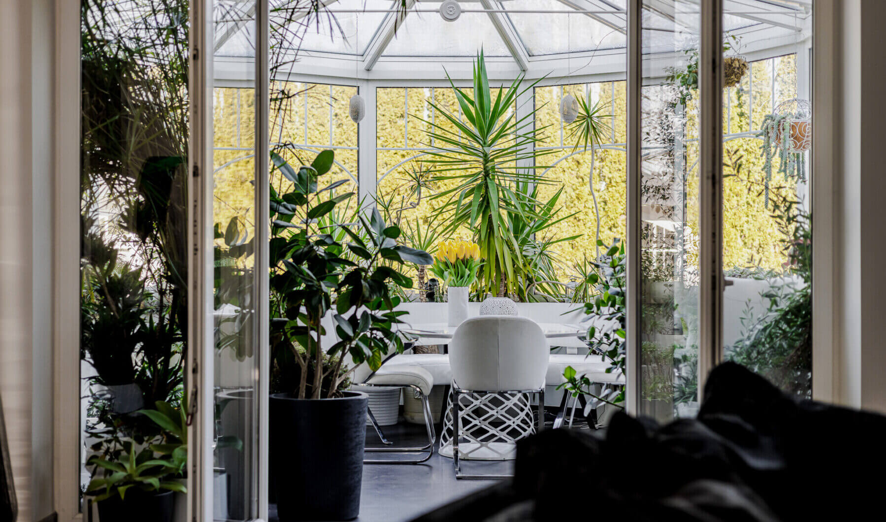 Dom na sprzedaż - Warszawa, Białołęka, Vilea Property Butique 1