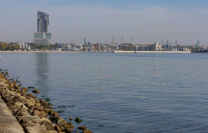 Lokal komercyjny na sprzedaż - Gdynia, Vilea Property Butique 1