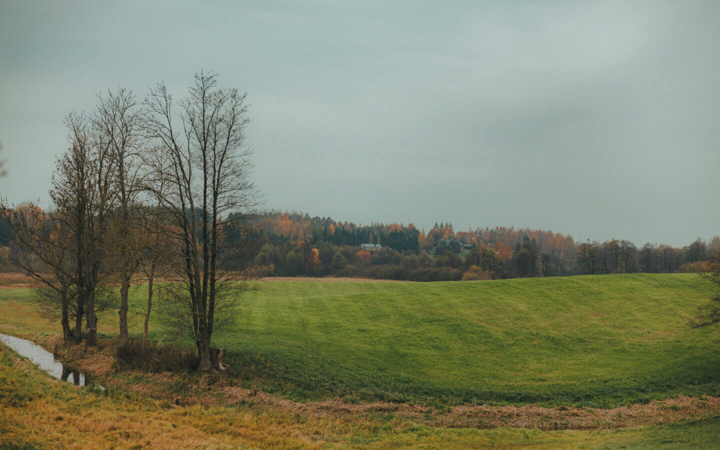 Działka na sprzedaż - Zyndaki, Sorkwity, Vilea Property Butique 1