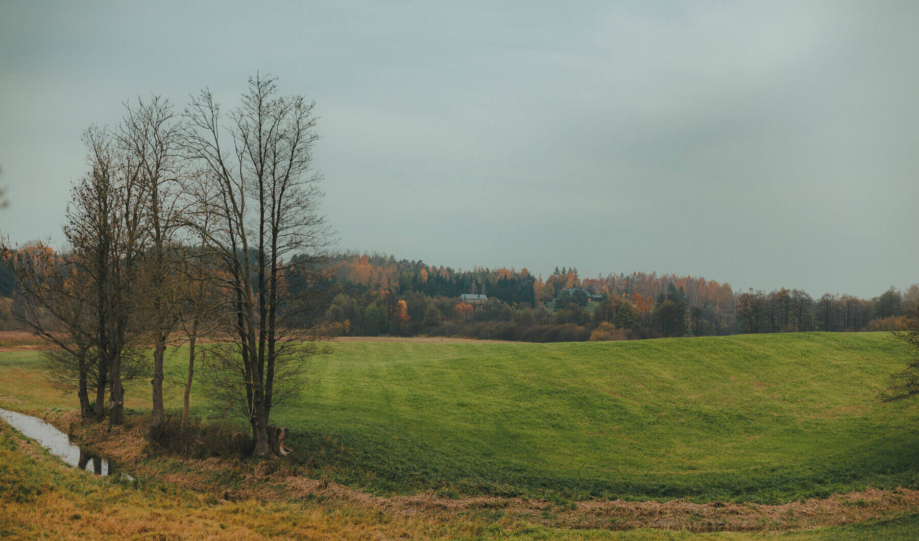 Działka na sprzedaż - Zyndaki, Sorkwity, Vilea Property Butique 1