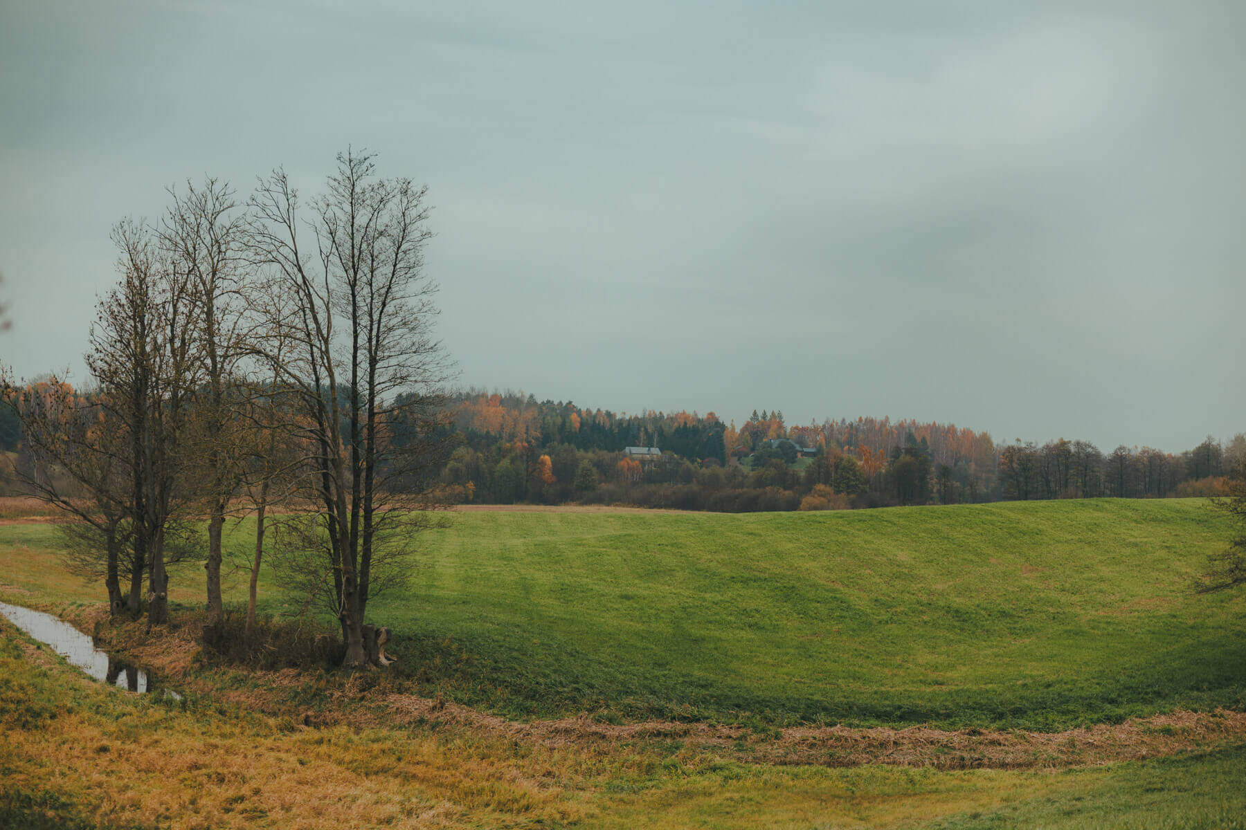 Działka na sprzedaż - Zyndaki, Sorkwity, Vilea Property Butique 1