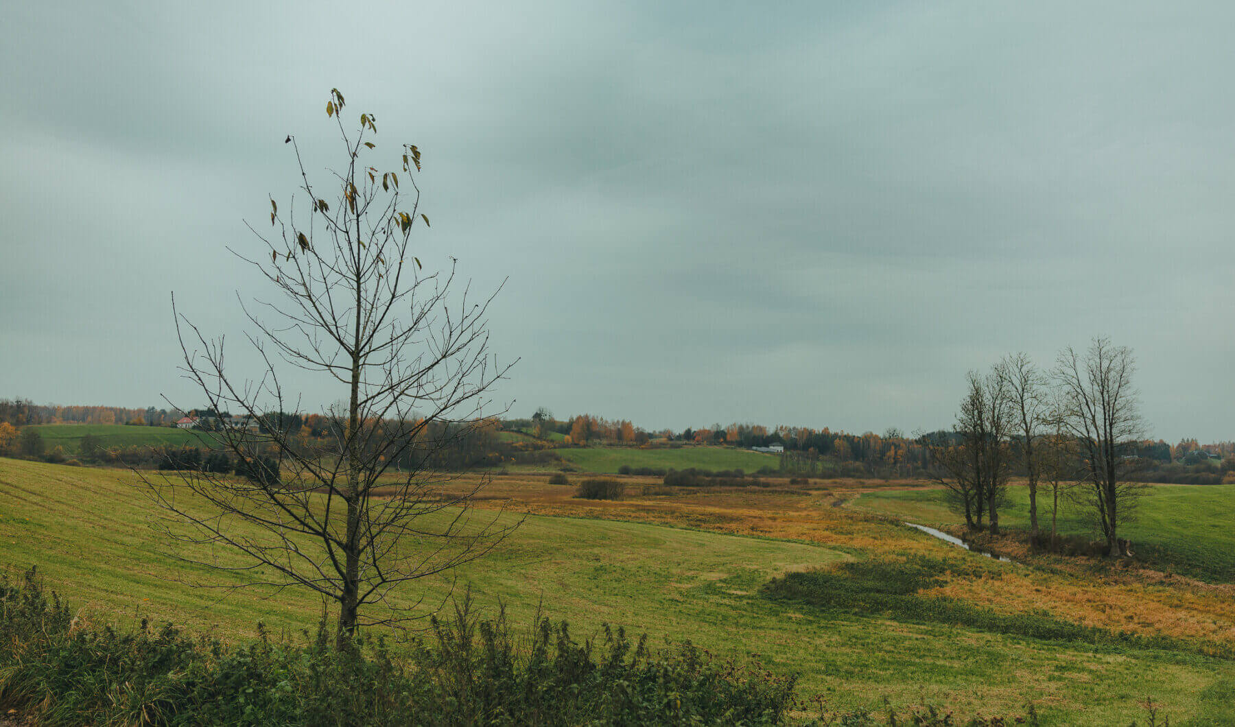 Działka na sprzedaż - Zyndaki, Sorkwity, Vilea Property Butique 11
