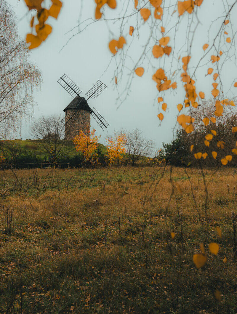 Działka na sprzedaż - Zyndaki, Sorkwity, Vilea Property Butique 14