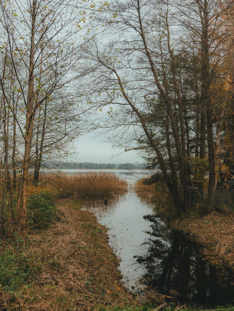 Działka na sprzedaż - Zyndaki, Sorkwity, Vilea Property Butique 31
