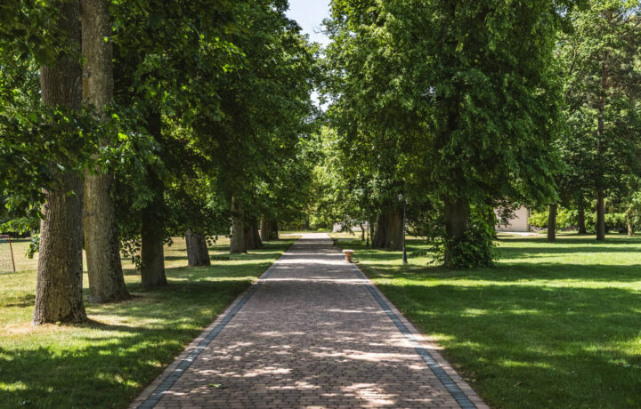 Dom na sprzedaż - Żaków, Siennica, Vilea Property Butique 1