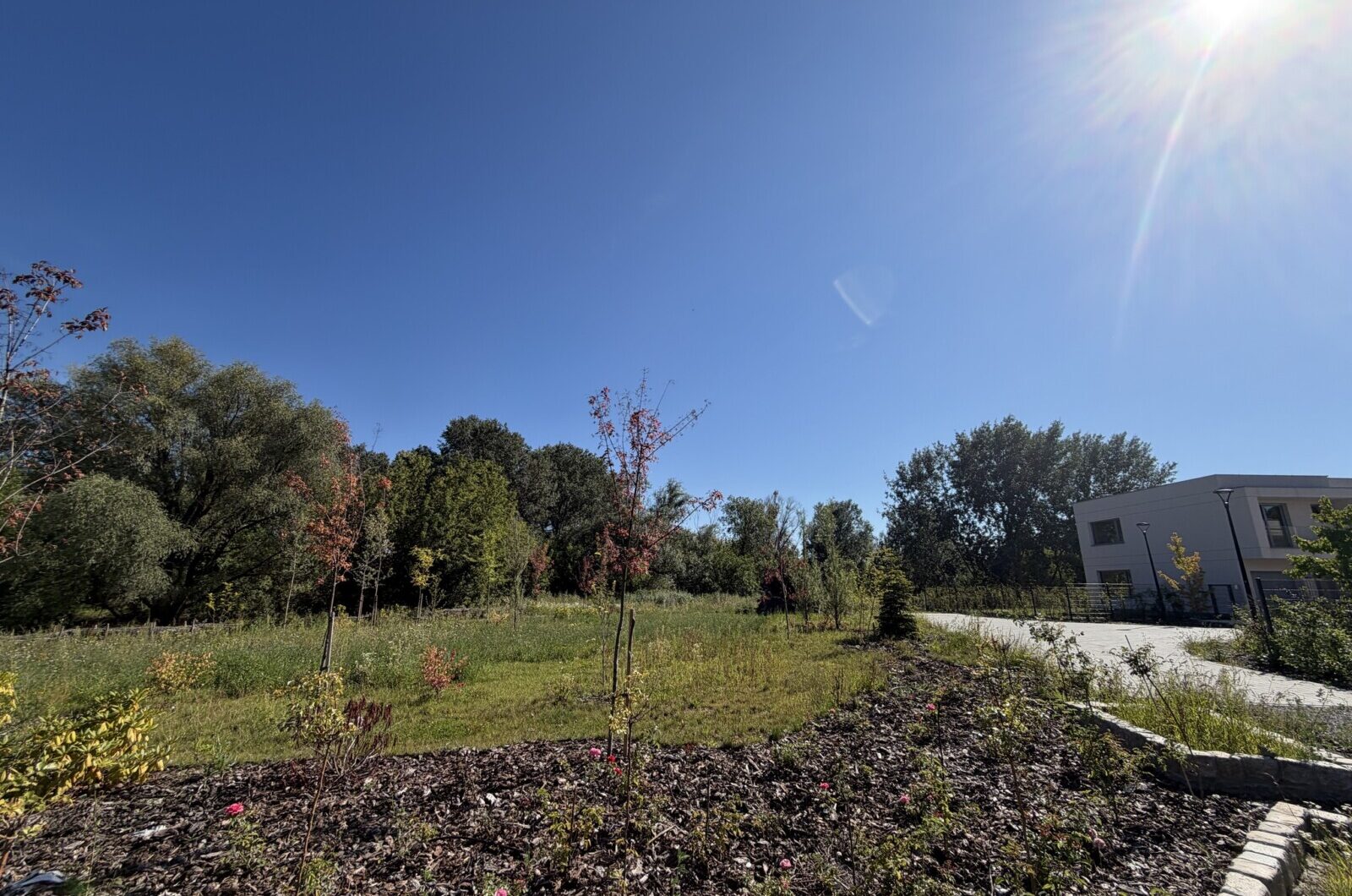 Dom do wynajęcia - Warszawa, Mokotów, Vilea Property Butique 17