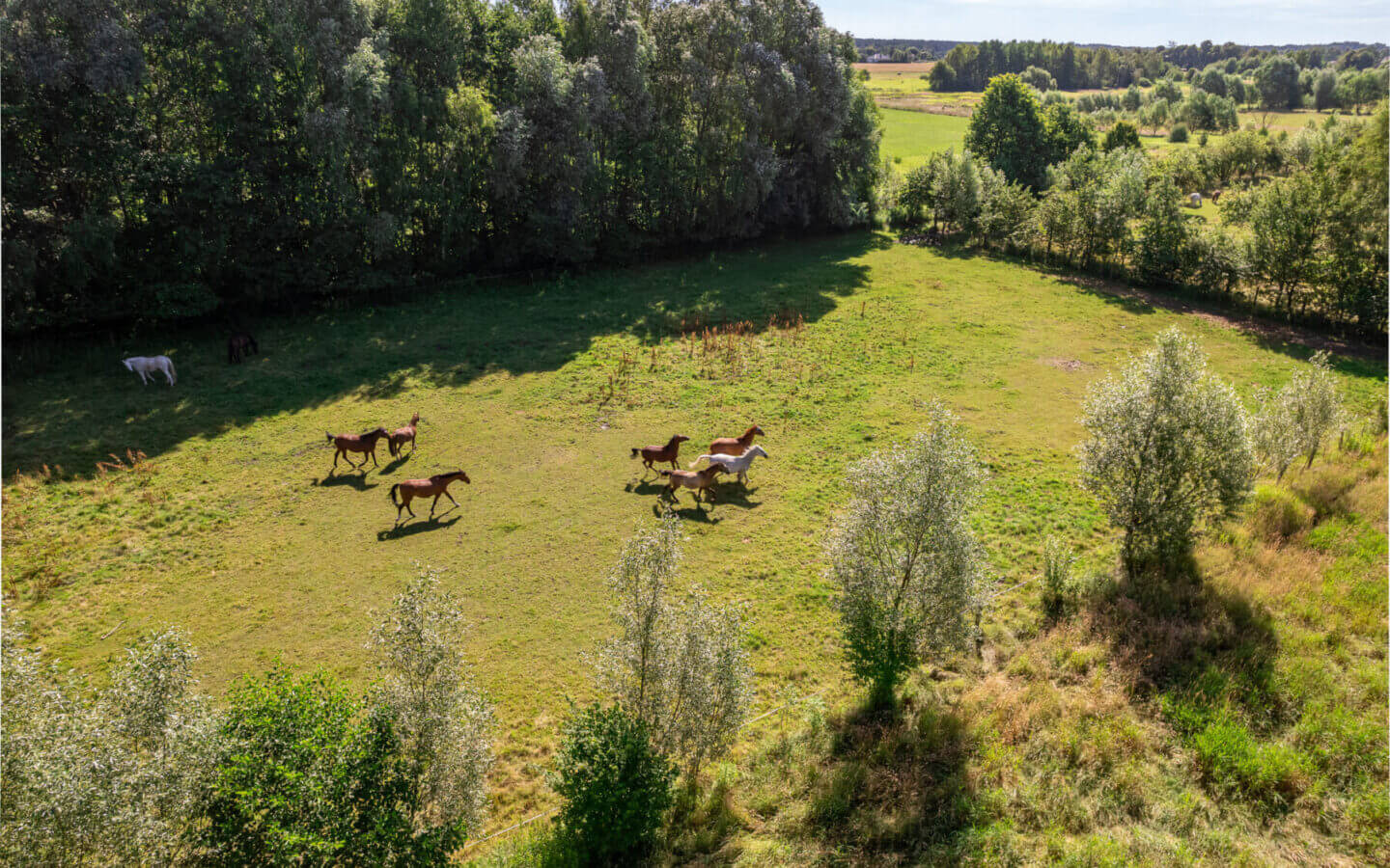 Działka na sprzedaż - Konstancin-Jeziorna, Vilea Property Butique 1