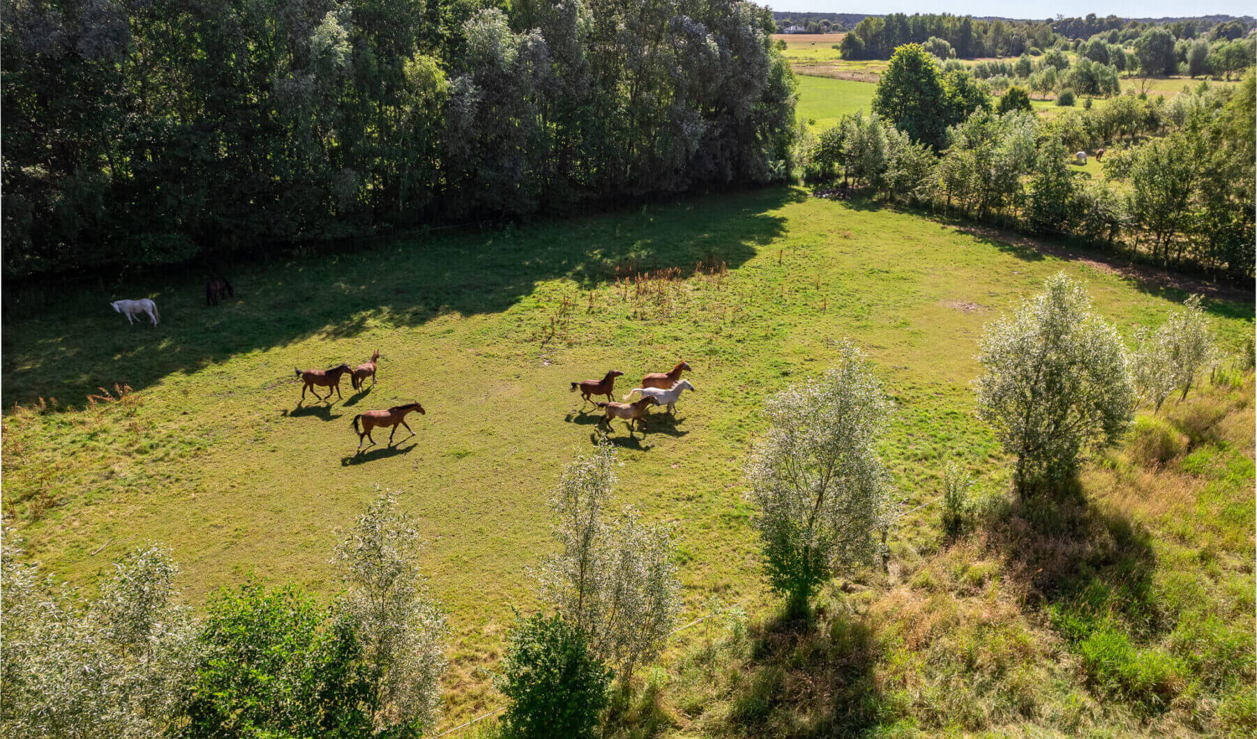 Działka na sprzedaż - Konstancin-Jeziorna, Vilea Property Butique 1