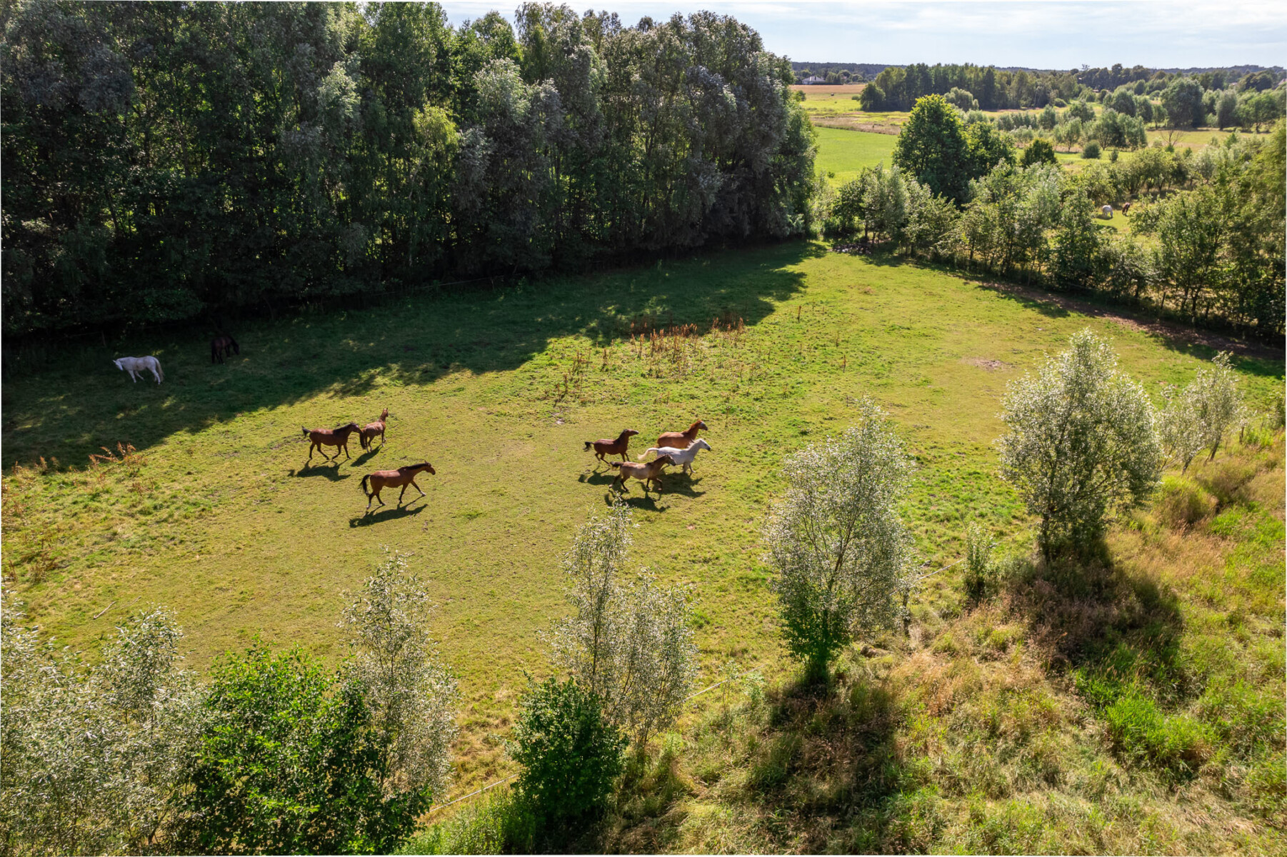 Działka na sprzedaż - Konstancin-Jeziorna, Vilea Property Butique 1