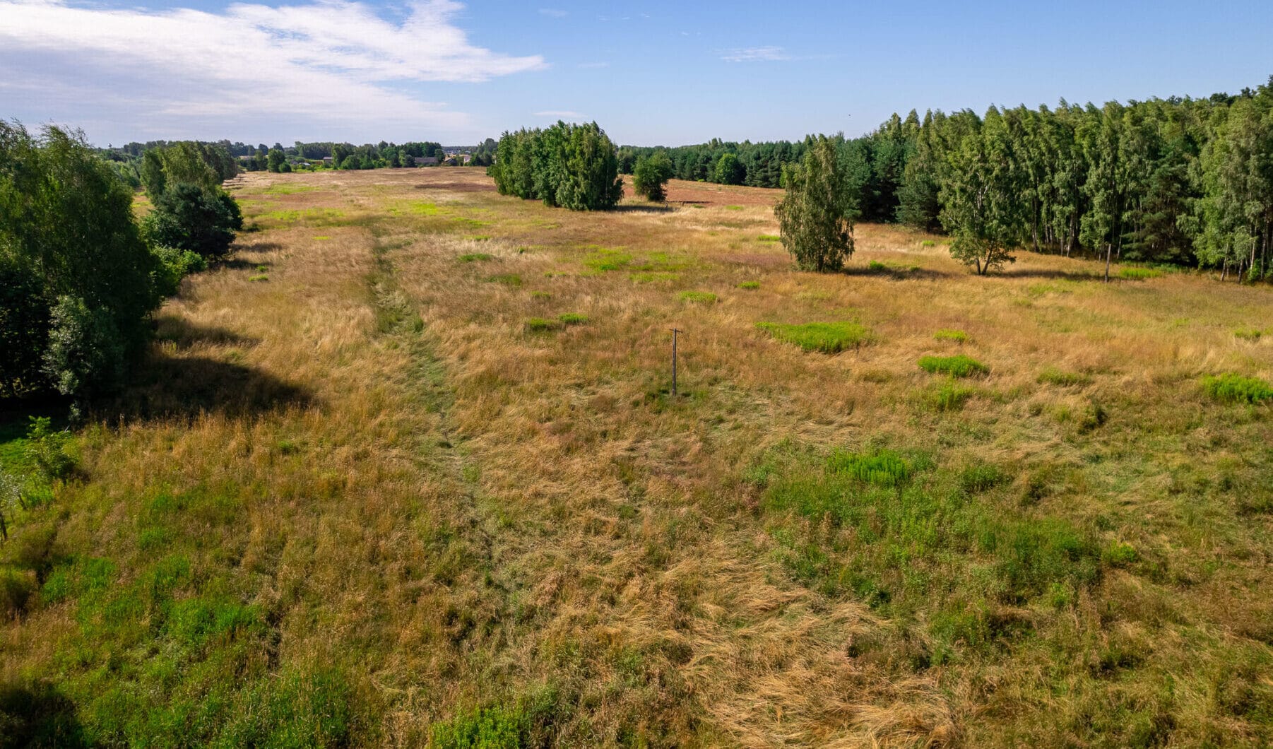 Działka na sprzedaż - Konstancin-Jeziorna, Vilea Property Butique 11