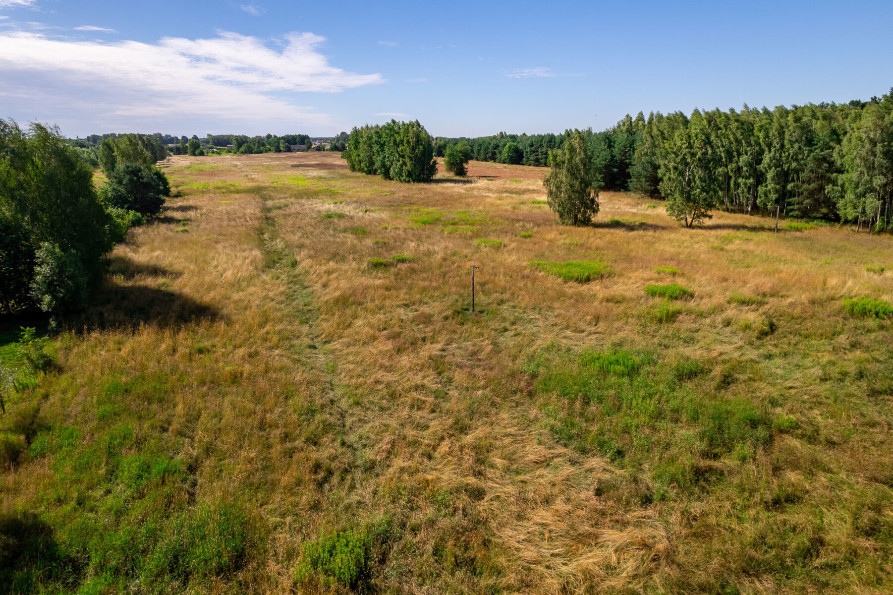 Działka na sprzedaż - Konstancin-Jeziorna, Vilea Property Butique 11