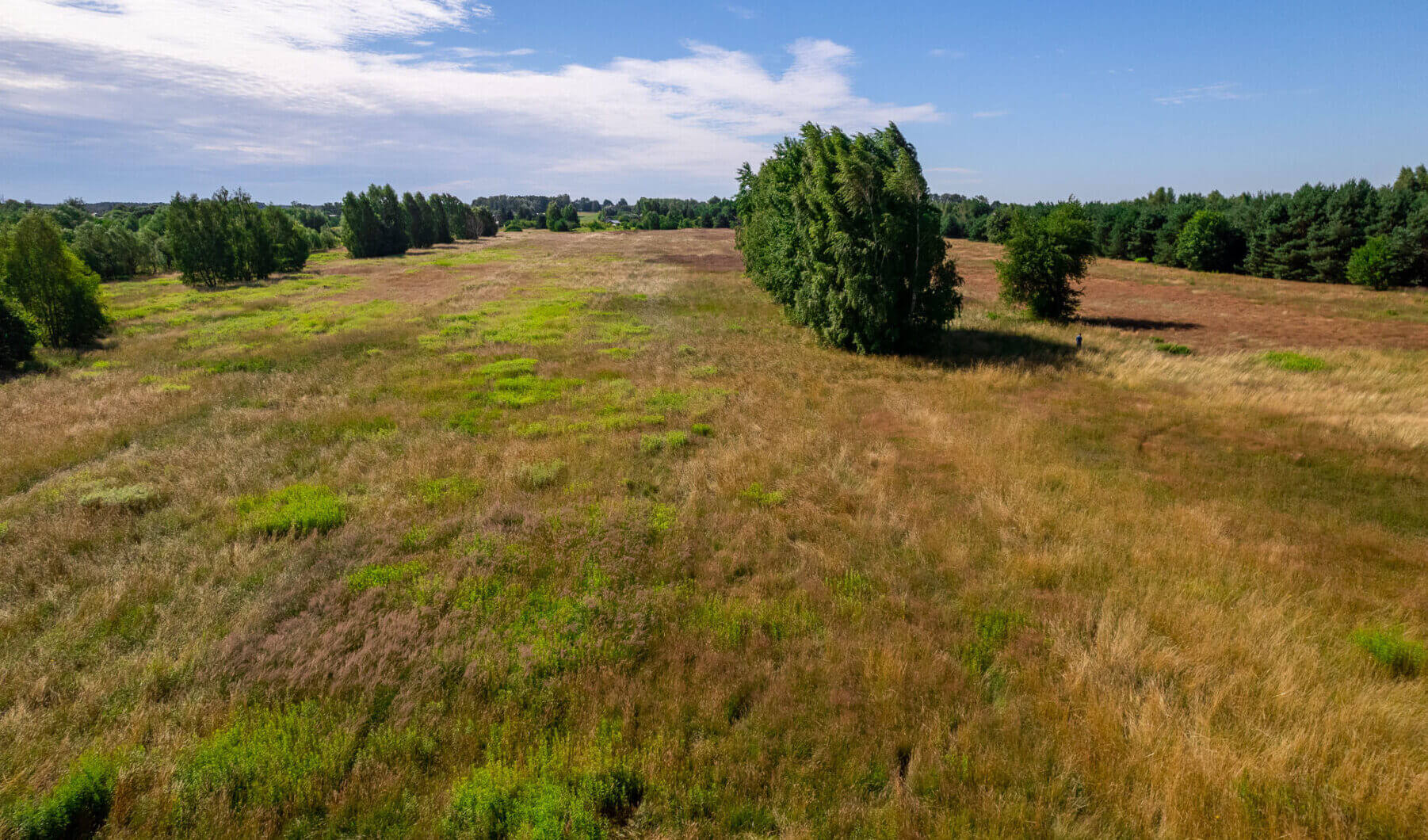 Działka na sprzedaż - Konstancin-Jeziorna, Vilea Property Butique 12
