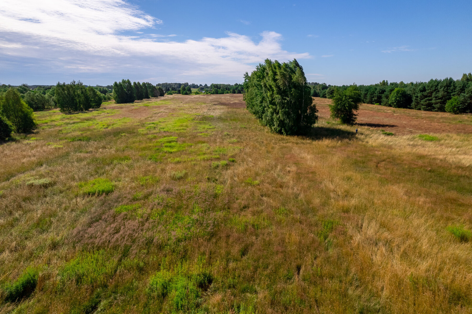 Działka na sprzedaż - Konstancin-Jeziorna, Vilea Property Butique 12