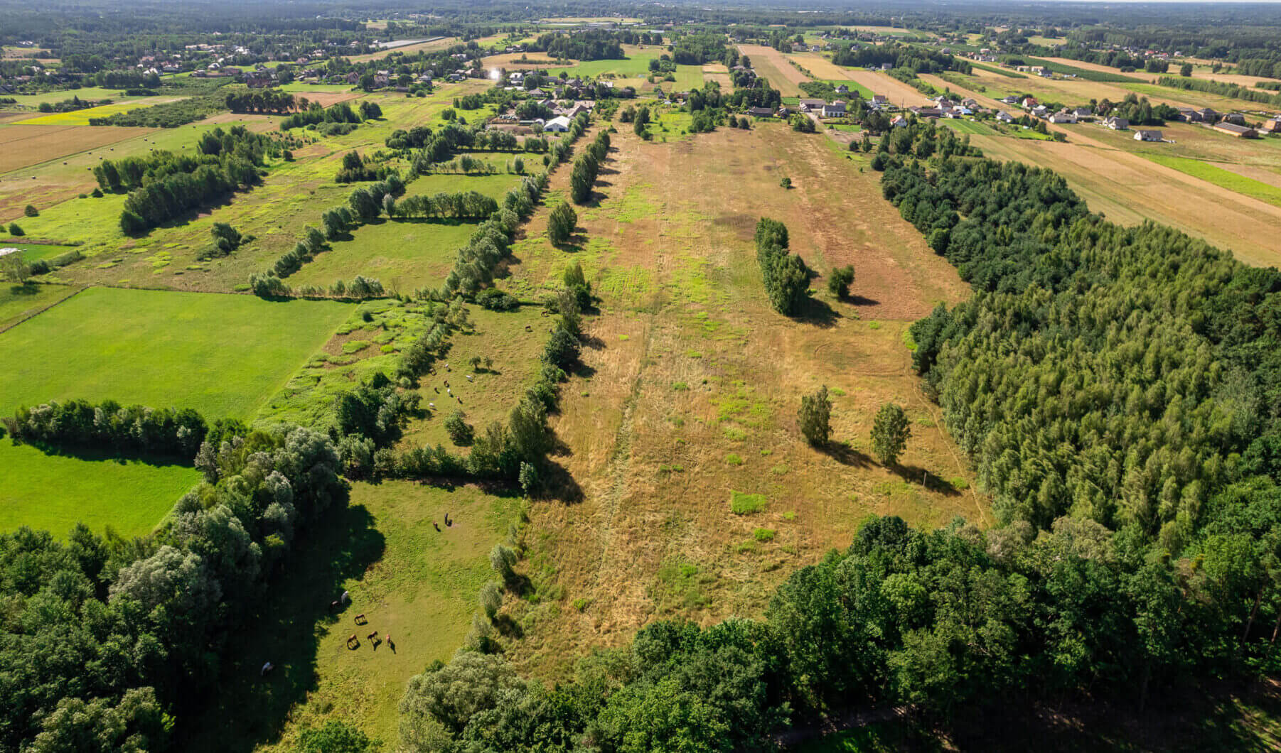 Działka na sprzedaż - Konstancin-Jeziorna, Vilea Property Butique 2