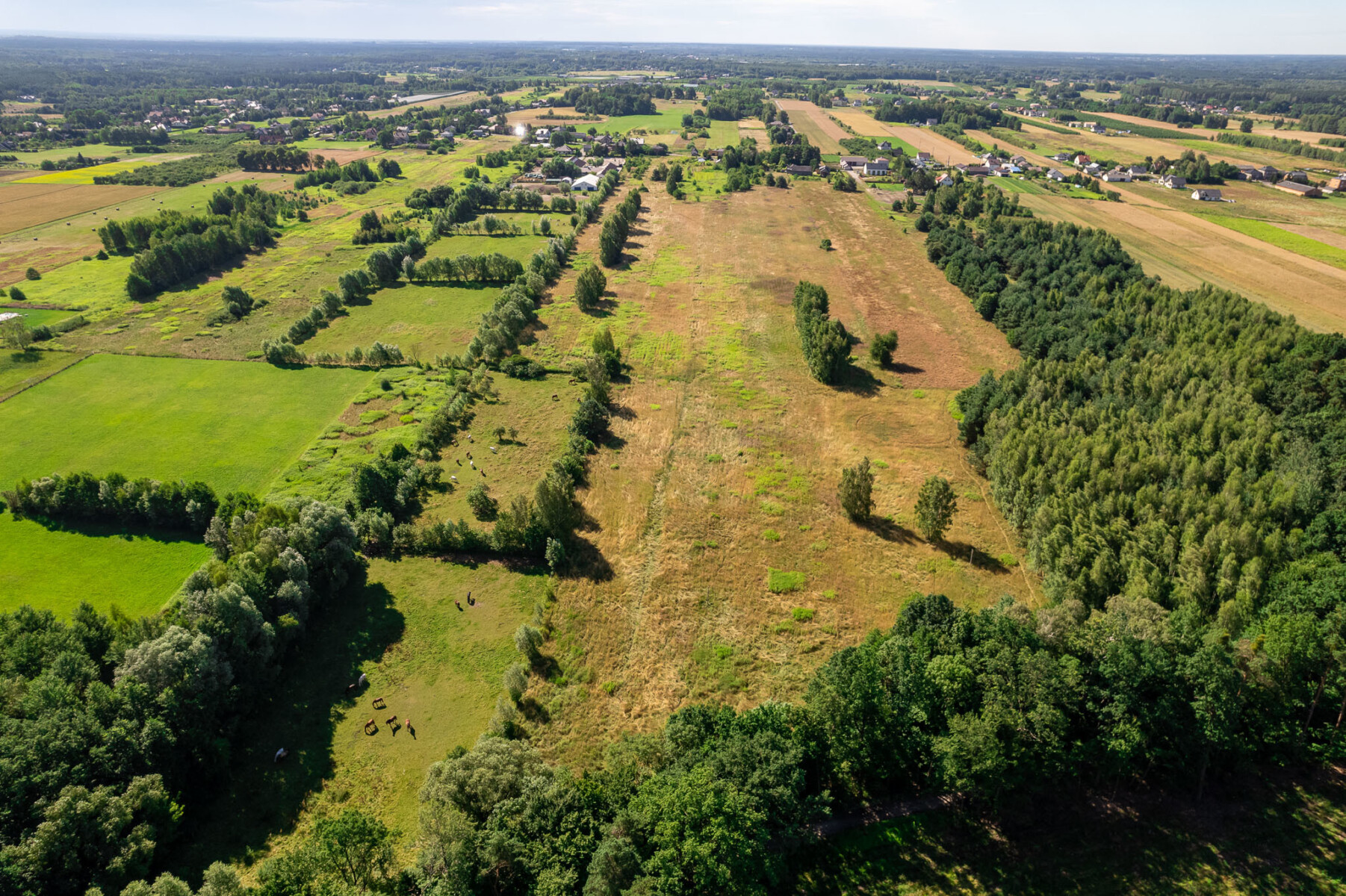Działka na sprzedaż - Konstancin-Jeziorna, Vilea Property Butique 2