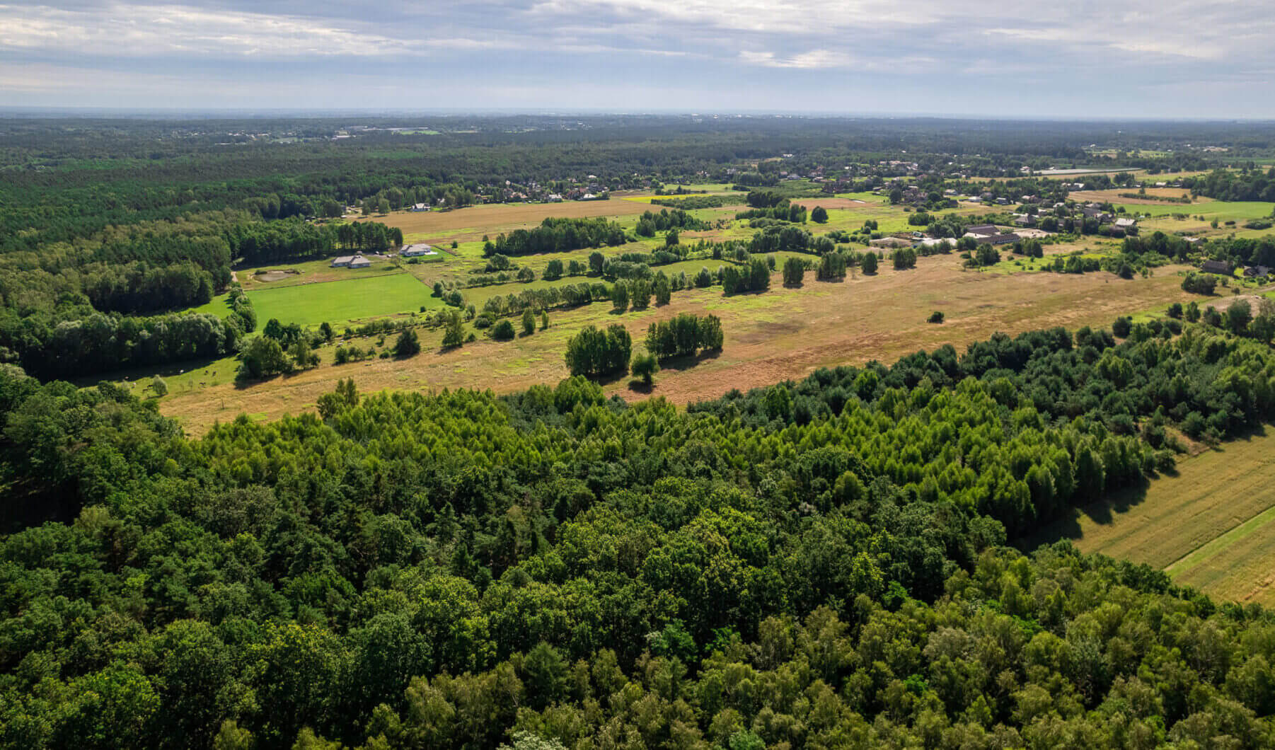 Działka na sprzedaż - Konstancin-Jeziorna, Vilea Property Butique 3