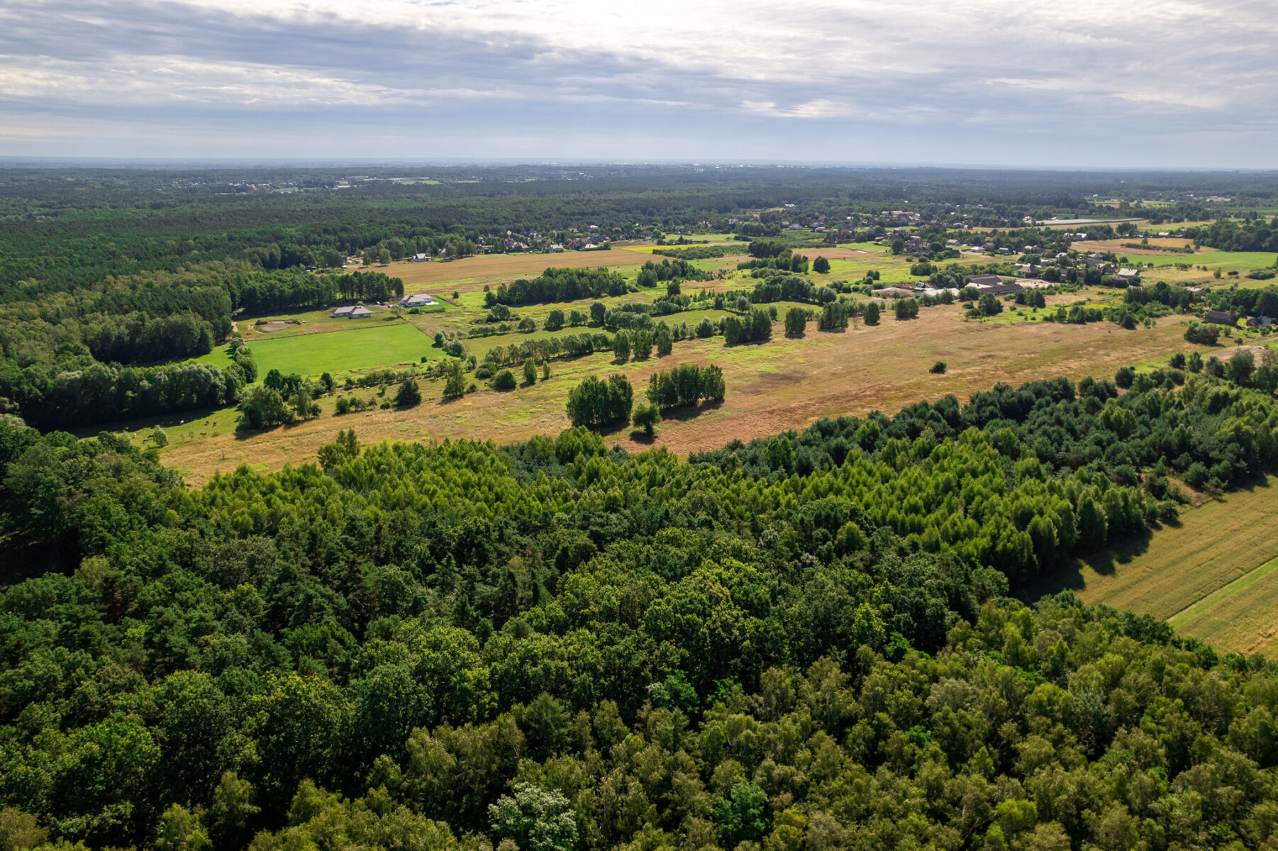 Działka na sprzedaż - Konstancin-Jeziorna, Vilea Property Butique 3