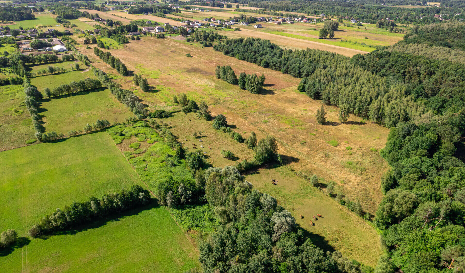 Działka na sprzedaż - Konstancin-Jeziorna, Vilea Property Butique 5