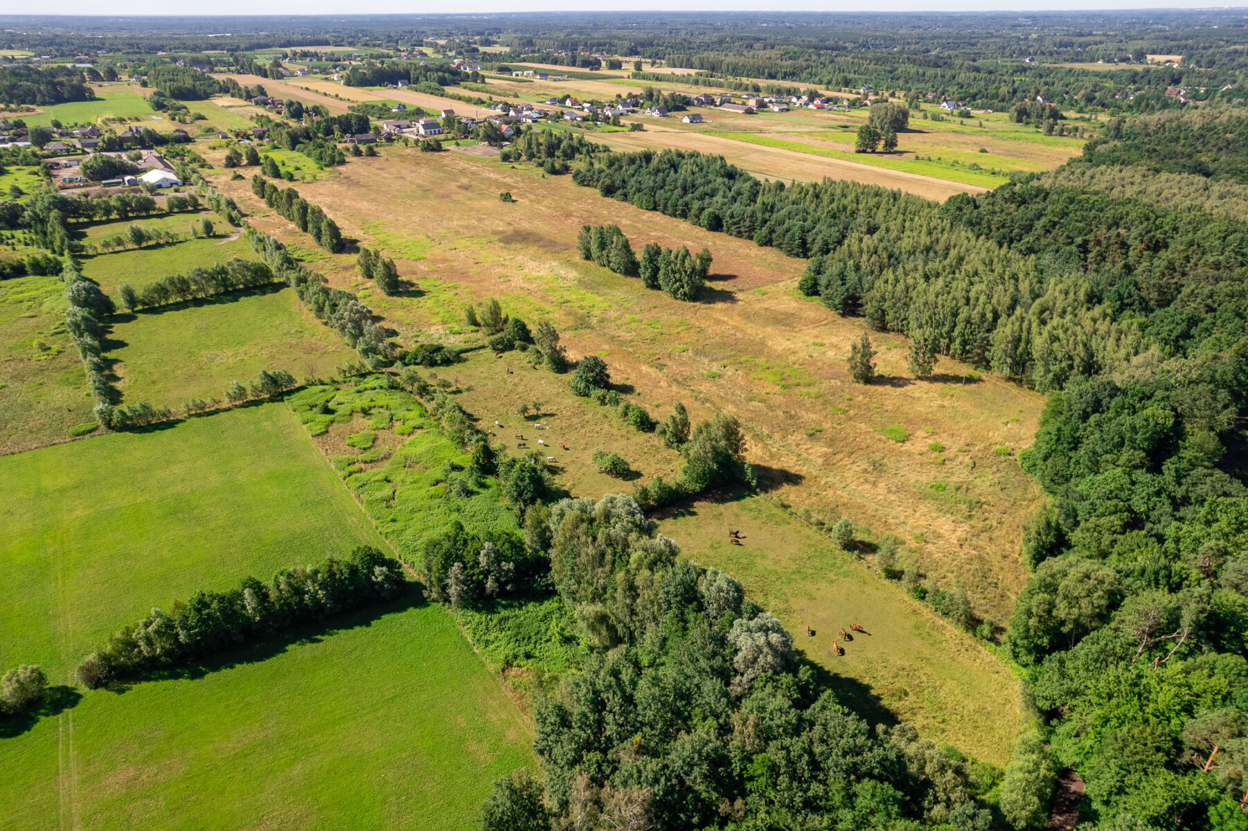 Działka na sprzedaż - Konstancin-Jeziorna, Vilea Property Butique 5