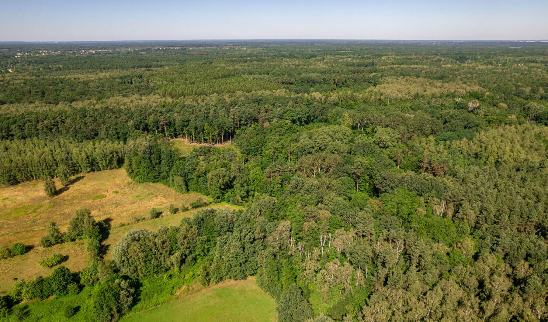 Działka na sprzedaż - Konstancin-Jeziorna, Vilea Property Butique 8