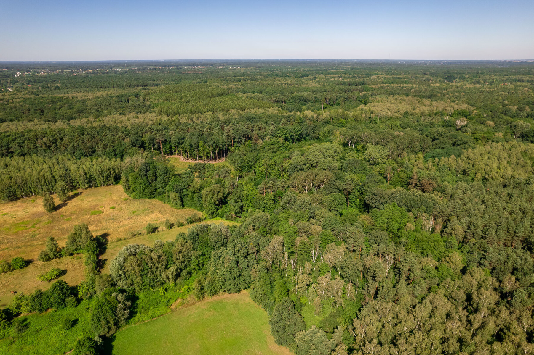 Działka na sprzedaż - Konstancin-Jeziorna, Vilea Property Butique 8