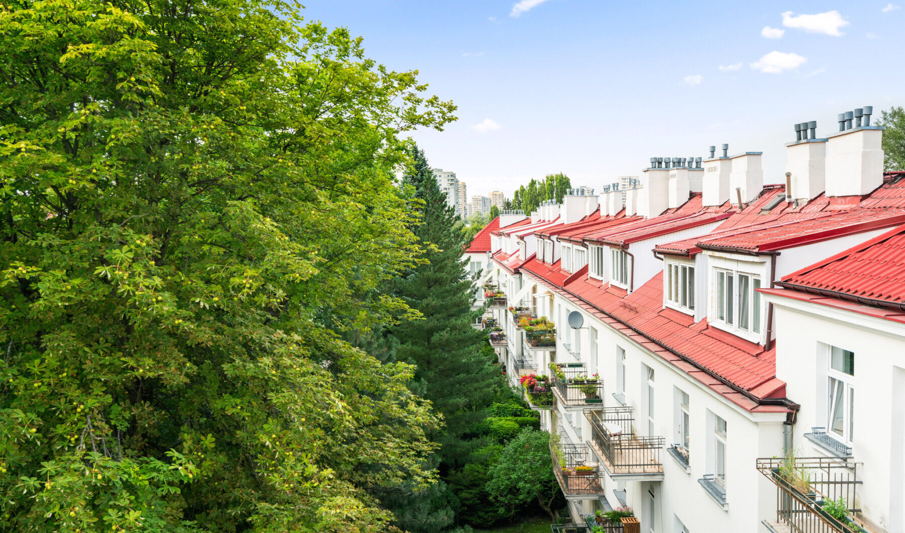 Mieszkanie do wynajęcia - Warszawa, Żoliborz, ul. Adama Mickiewicza, Vilea Property Butique 11