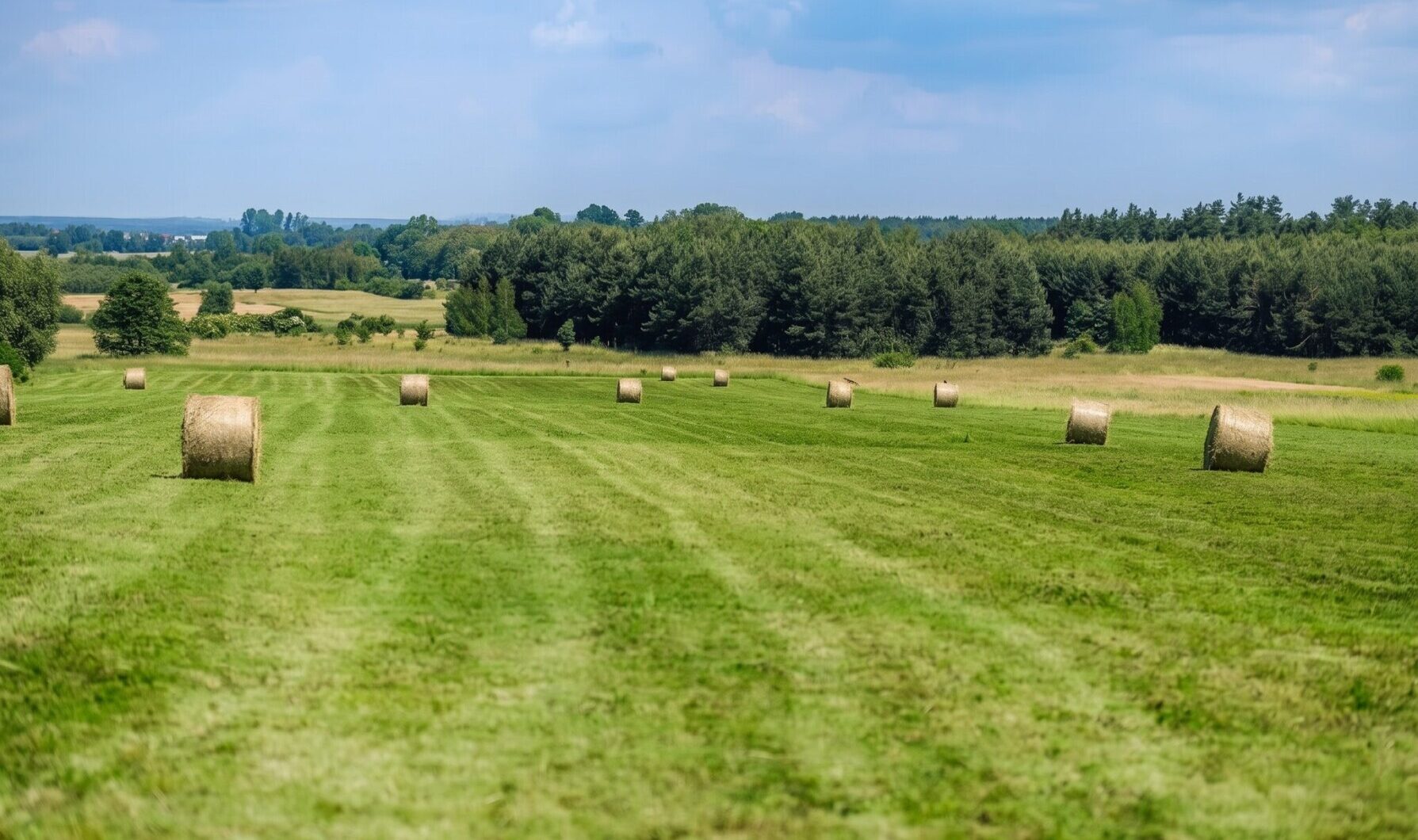 Mieszkanie na sprzedaż - Busko-Zdrój, Vilea Property Butique 12