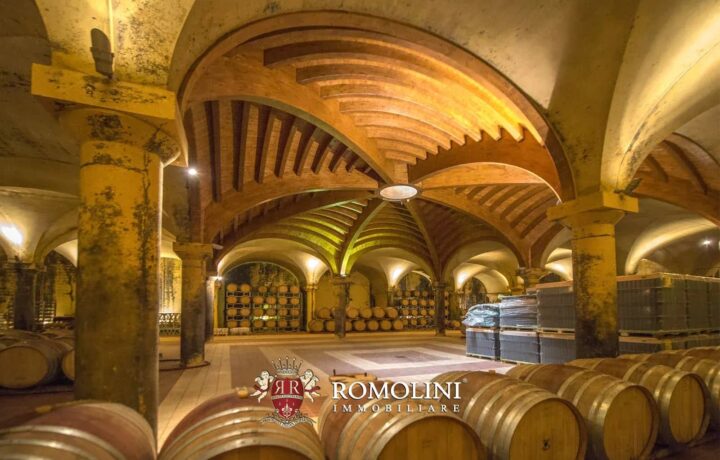 Dom na sprzedaż - Tuscany, Castellina in Chianti, Vilea Property Butique 1
